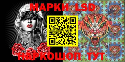 стафф Кандалакша