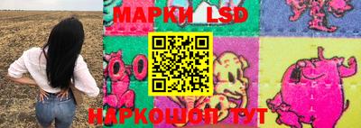 стафф Кандалакша