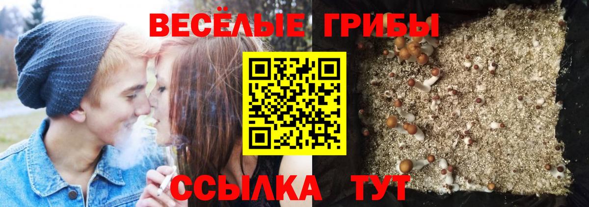Псилоцибиновые грибы MAGIC MUSHROOMS  Псилоцибиновые грибы ЛСД  Вход с VPN  Чернушка 